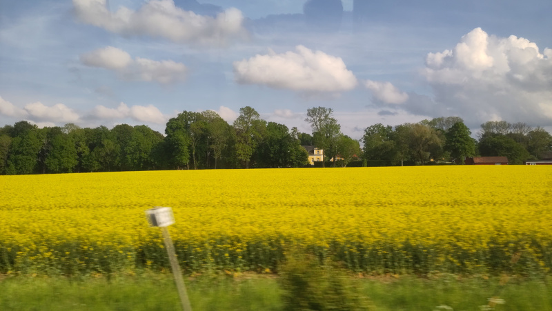 La campagne suédoise.